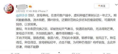 娱乐吃瓜酱文言文,古风趣味谈