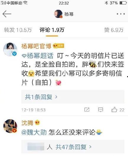 娱乐吃瓜点评怎么写,揭秘明星幕后故事